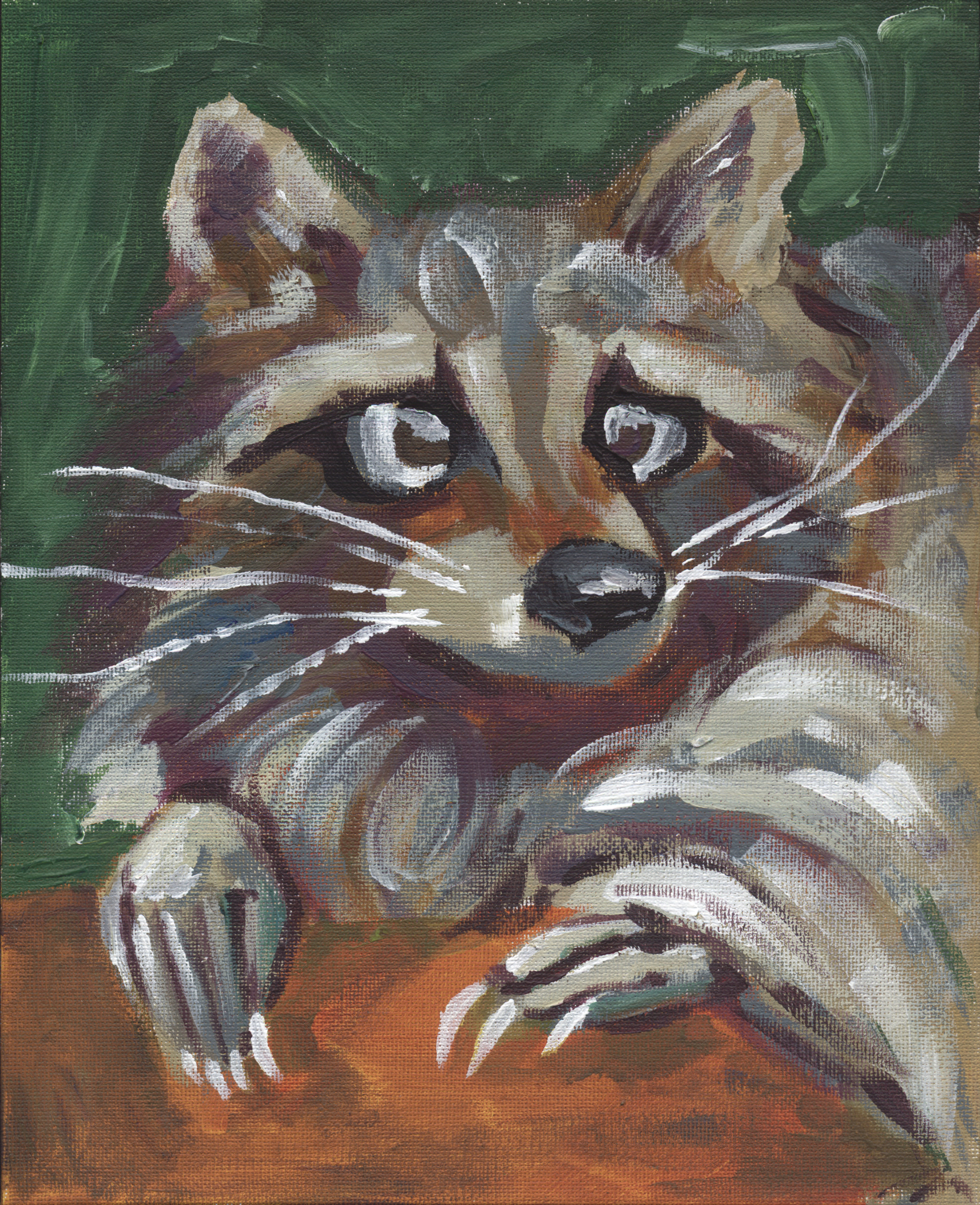 Expressionistic Raccoon Painting against a green background