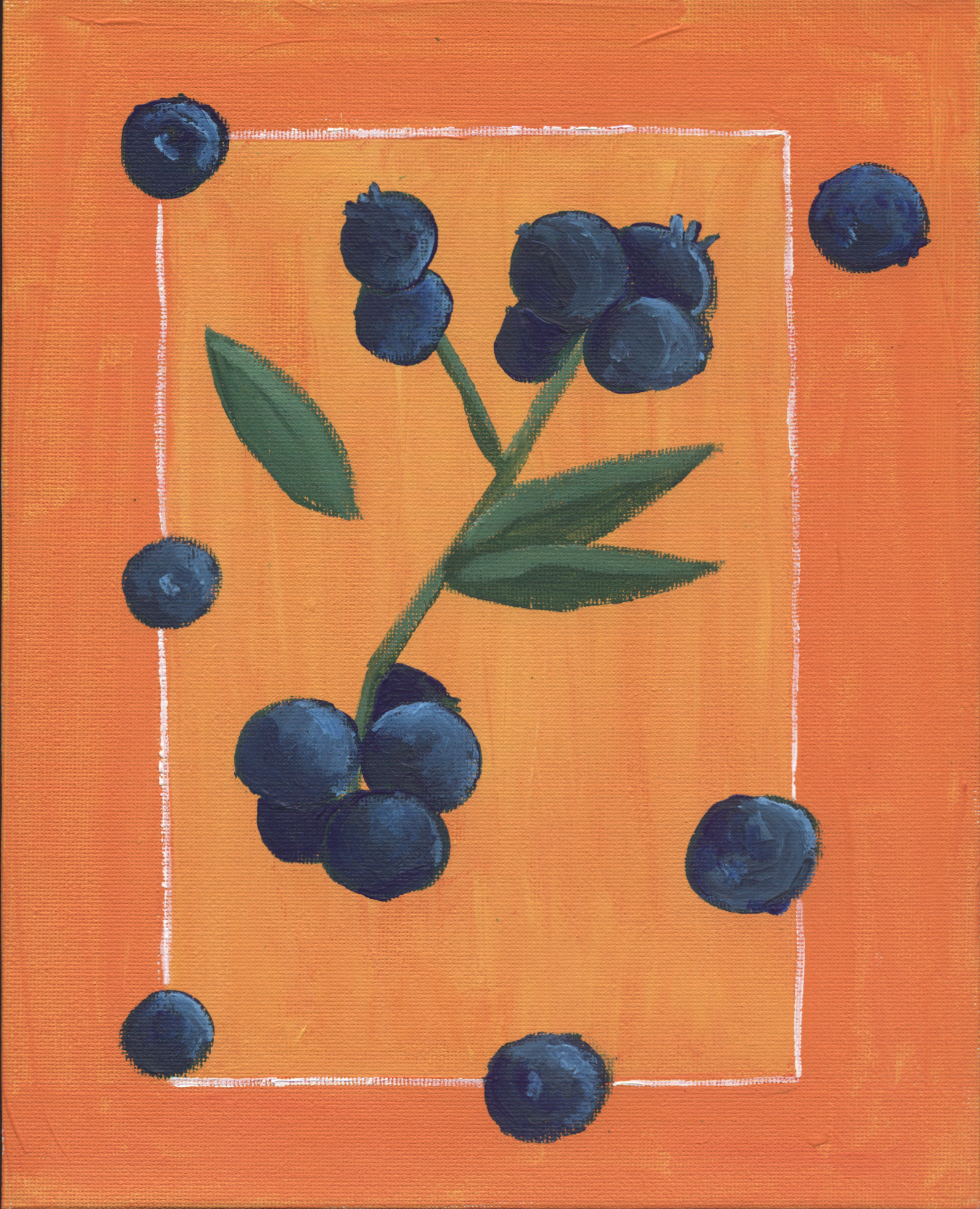 bright blueberries on stem against two-tone orange background