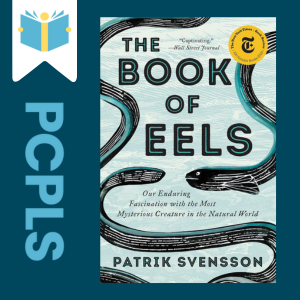 "Blue Text down the left side: PCPLS, PCPLS logo on a white page marker in the top left corner, {The Book of Eels} book cover along the right side, Navy background"